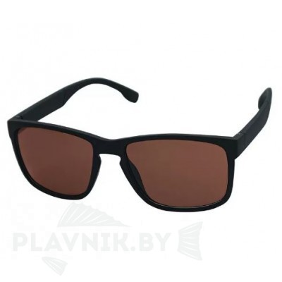 Очки солнцезащитные Robinson 93-SPO-022B