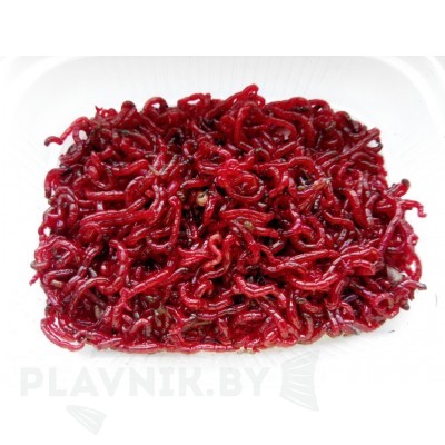 Мотыль крупный 10г.