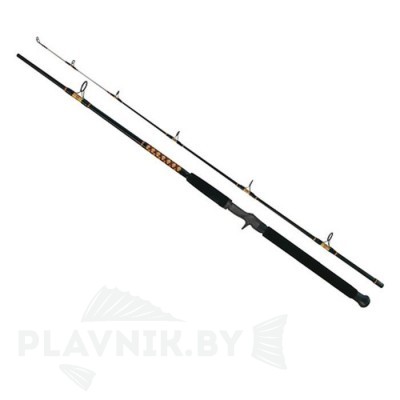 Спиннинг для троллинга Salmo Power Stick TROLLING CAST HX 50-100 г 2.4 м
